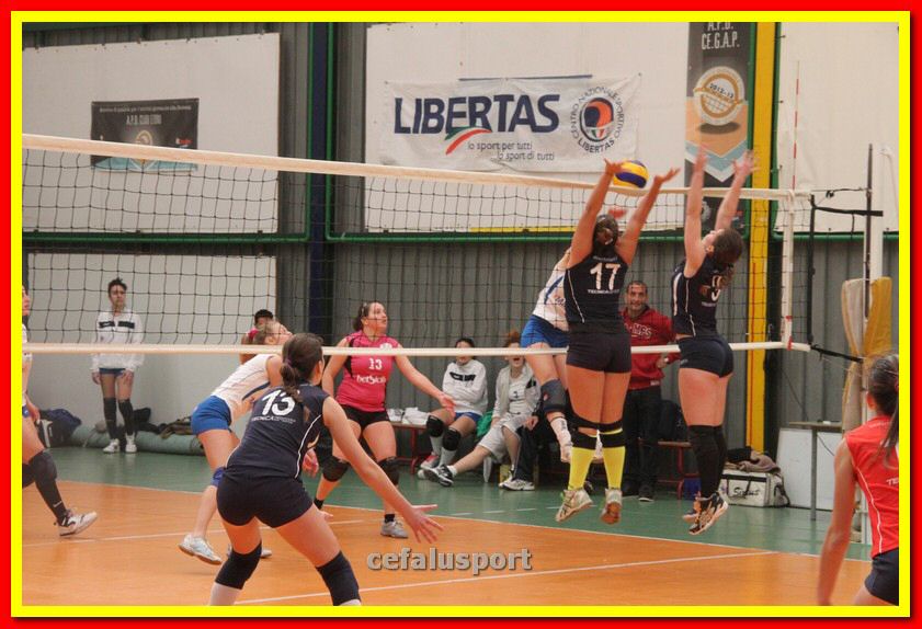 140223 cegap 201_tn.jpg